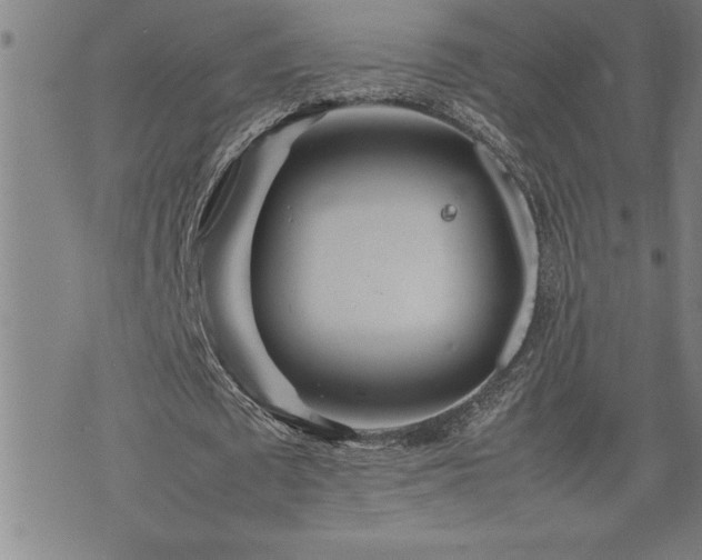 X0000074930673200609011051