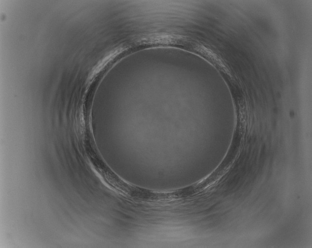 X0000074930674200609011051