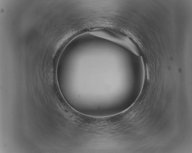 X0000074930675200609011051