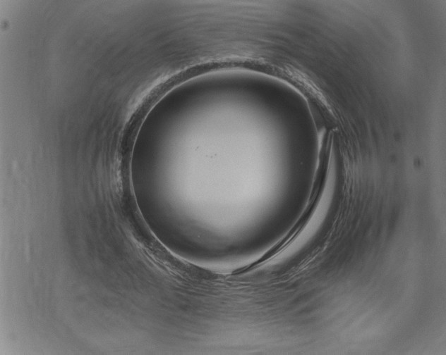 X0000074930676200609011051