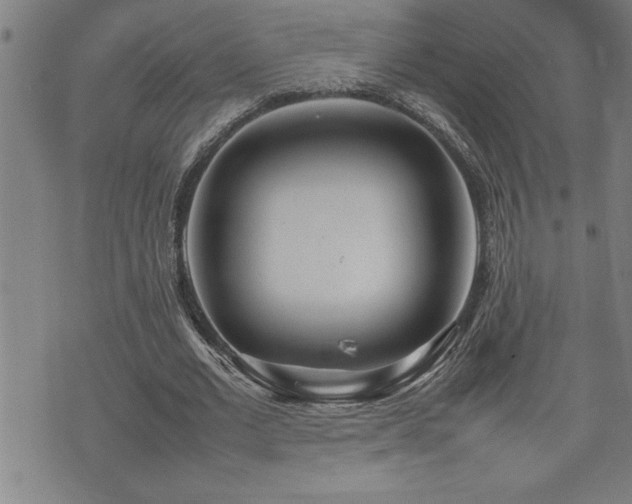 X0000074930677200609011051