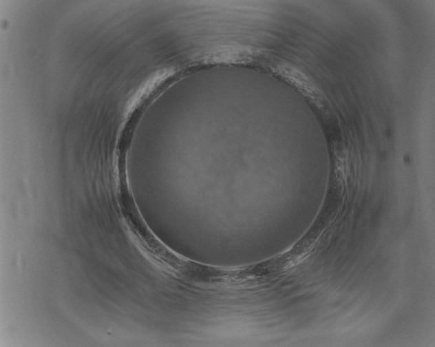 X0000074930678200609011051