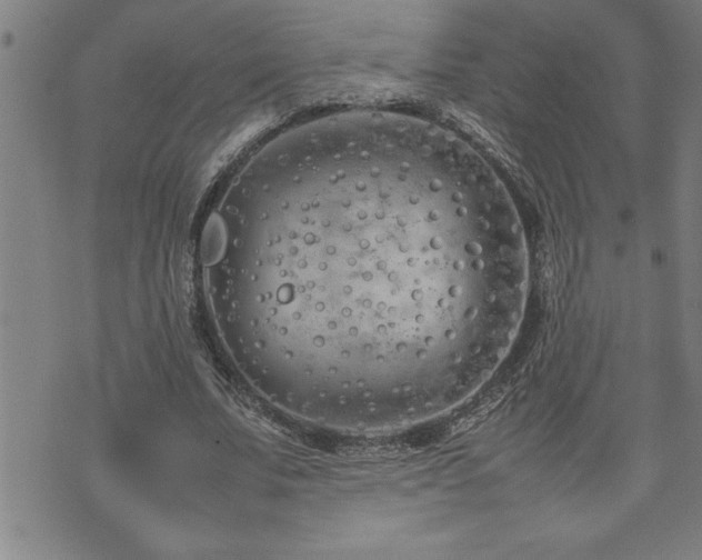 X0000074930679200609011051