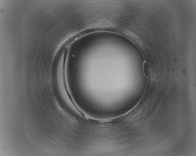 X0000074930680200609011051