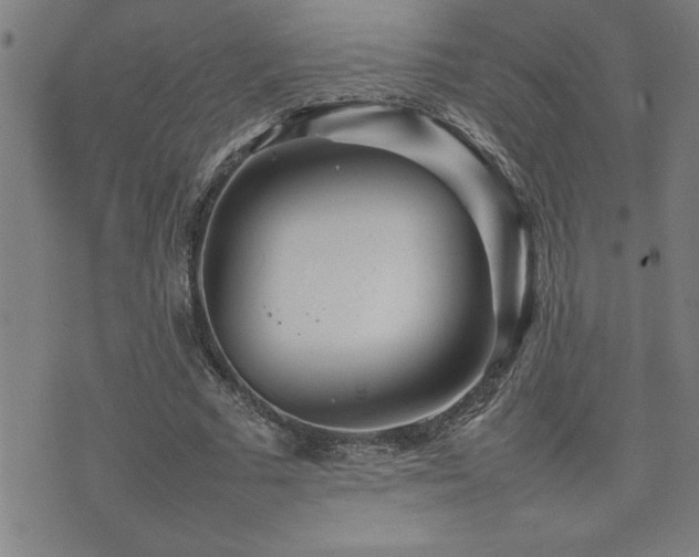 X0000074930681200609011051