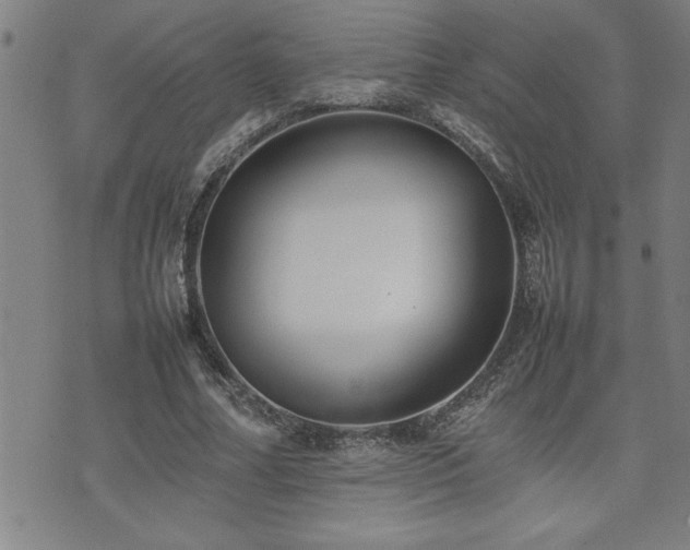 X0000074930682200609011051