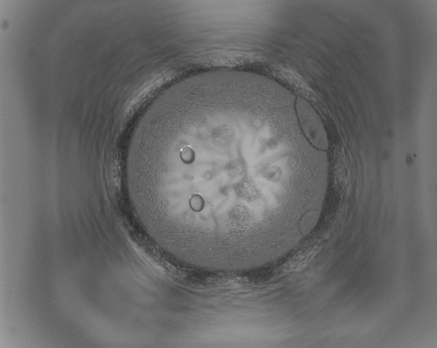 X0000074930683200609011051