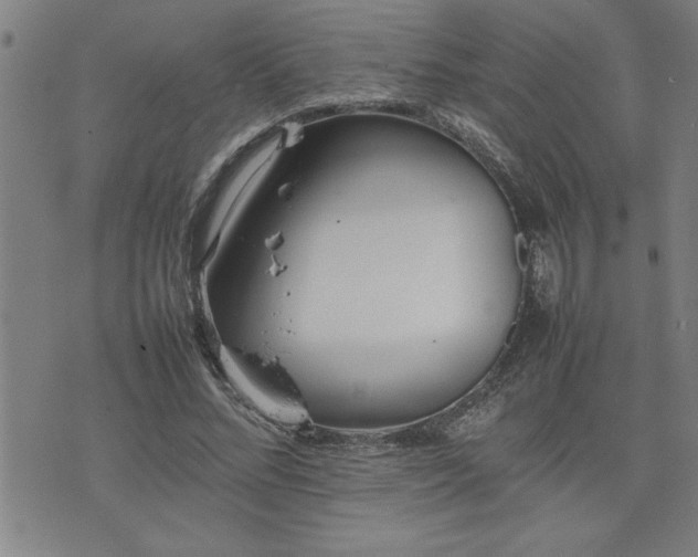 X0000074930684200609011051