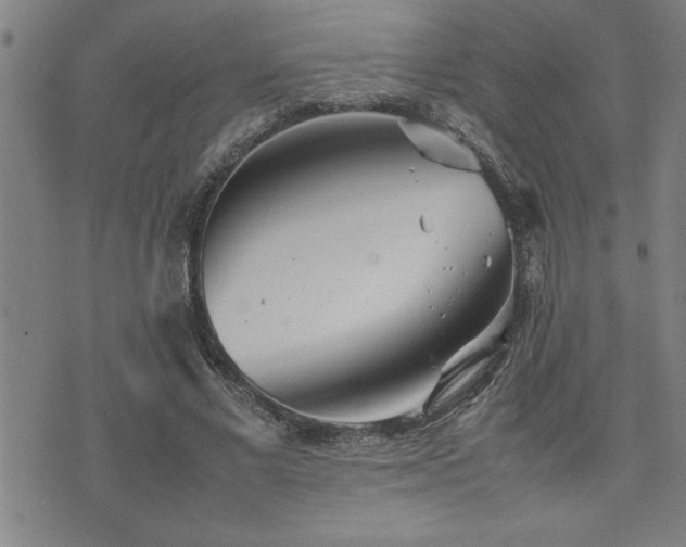 X0000074930685200609011051