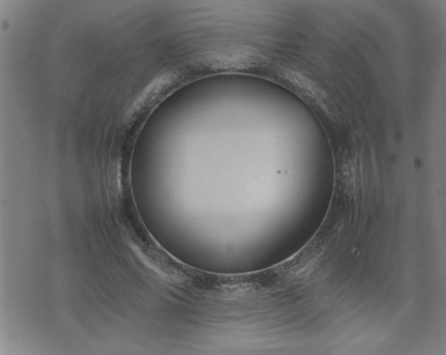 X0000074930686200609011051