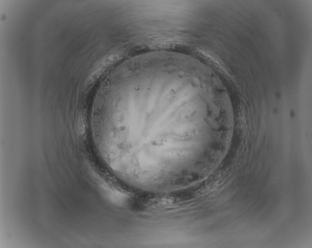 X0000074930687200609011051