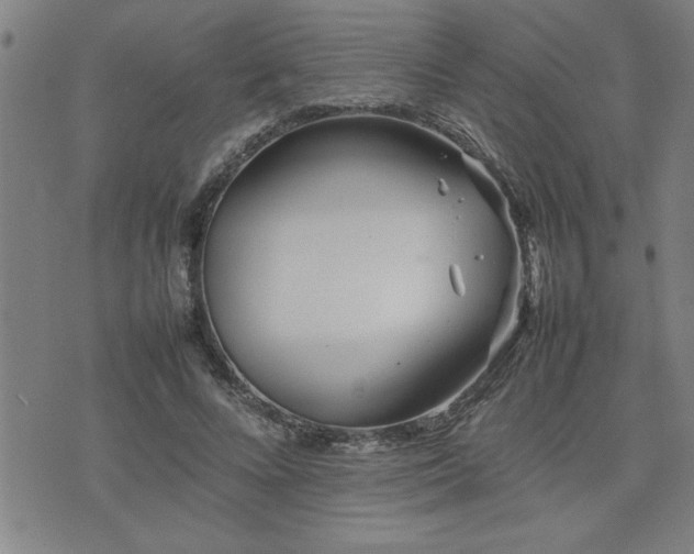 X0000074930688200609011051