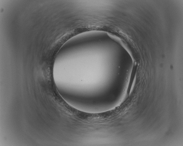 X0000074930689200609011051