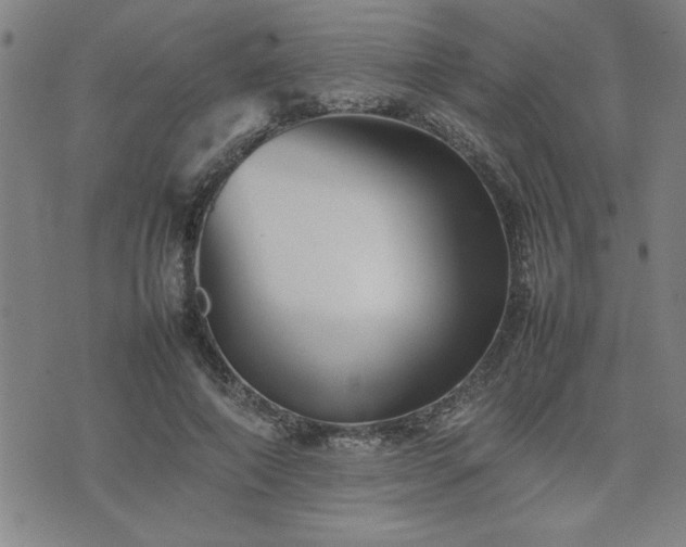 X0000074930690200609011051