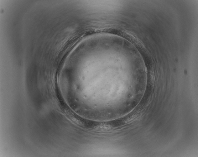 X0000074930691200609011051