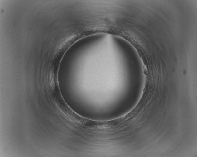 X0000074930692200609011051