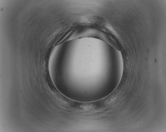 X0000074930693200609011051