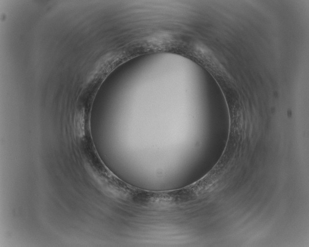 X0000074930694200609011051