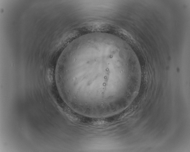 X0000074930695200609011051