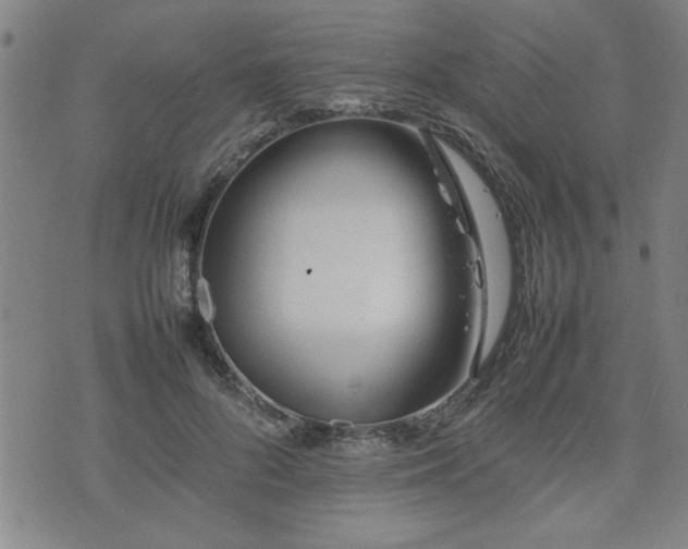 X0000074930696200609011051