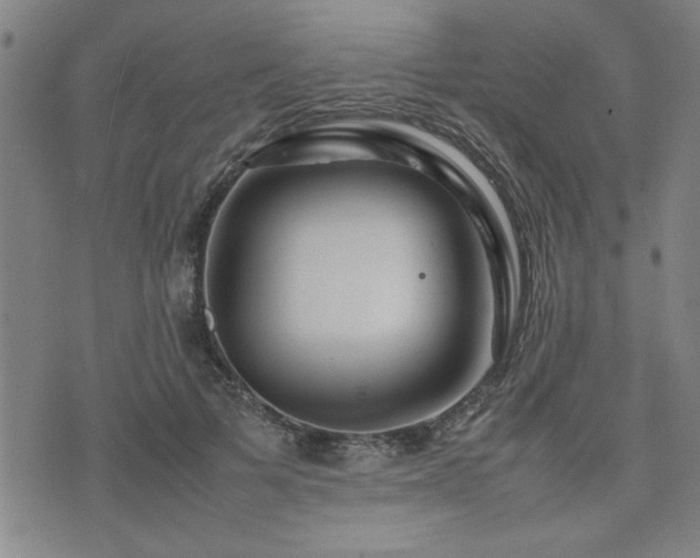 X0000074930697200609011051