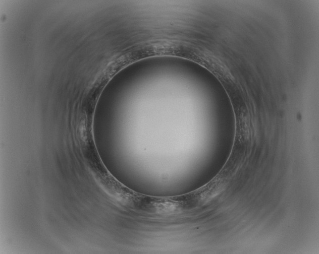 X0000074930698200609011051