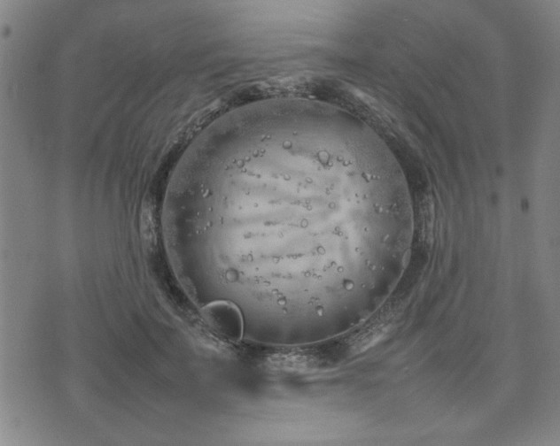 X0000074930699200609011051