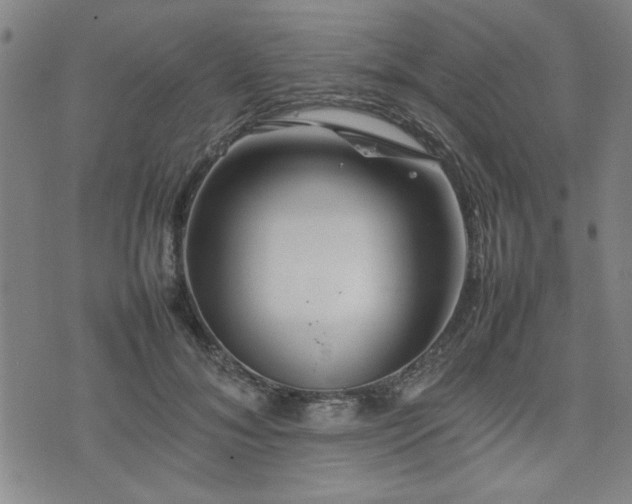 X0000074930700200609011051