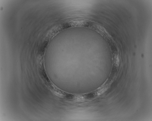 X0000074930701200609011051