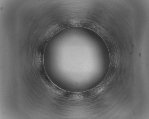 X0000074930702200609011051