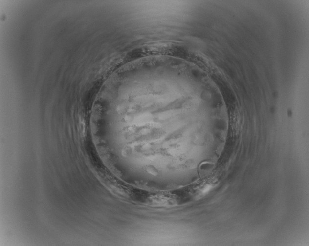 X0000074930703200609011051