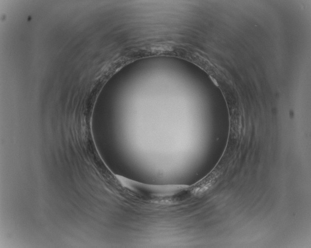 X0000074930704200609011051