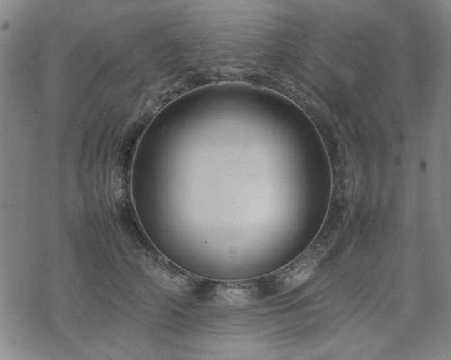 X0000074930706200609011051