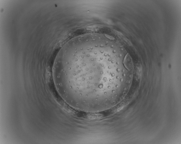 X0000074930707200609011051