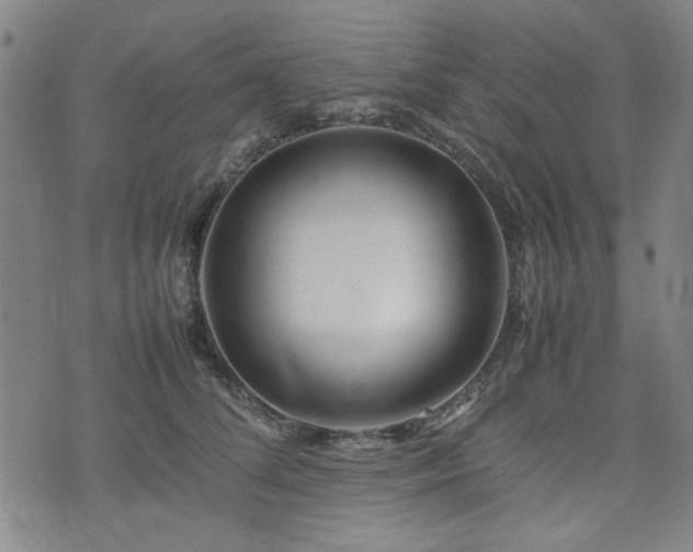 X0000074930708200609011051