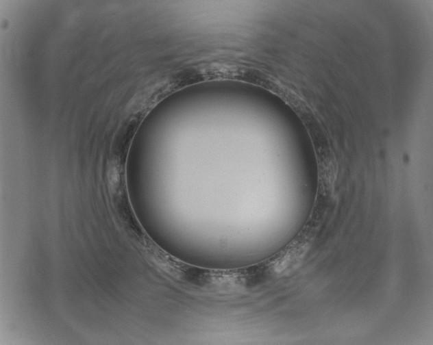 X0000074930709200609011051