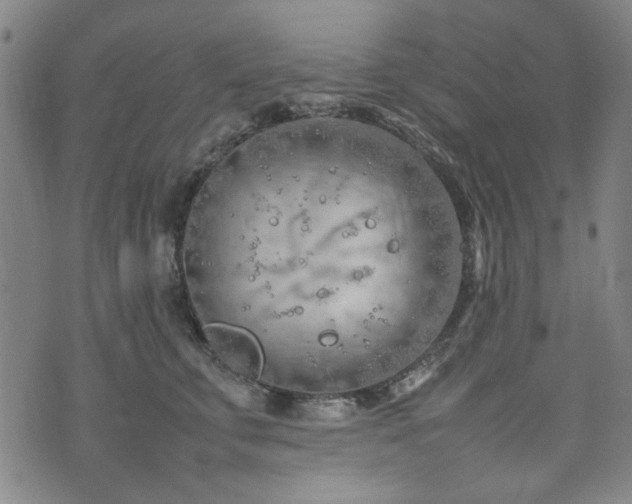 X0000074930711200609011051