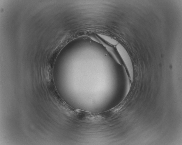 X0000074930712200609011051