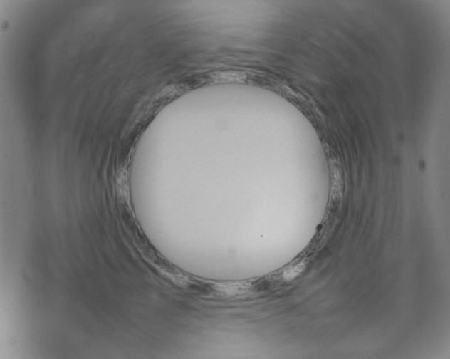 X0000074930713200609011050