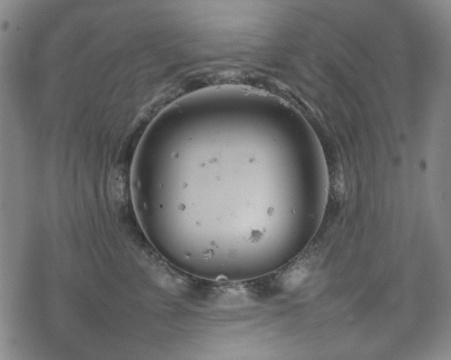 X0000074930715200609011050