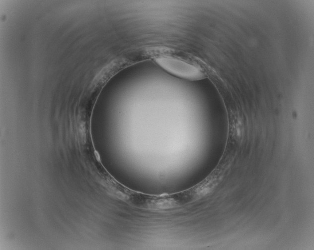 X0000074930716200609011050