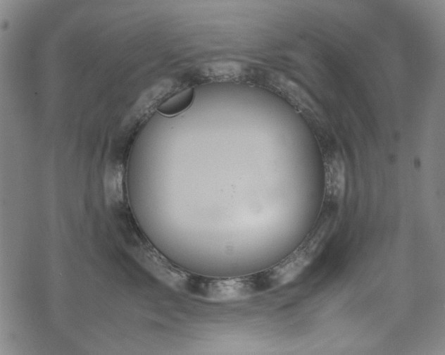 X0000074930717200609011050