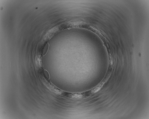 X0000074930718200609011050