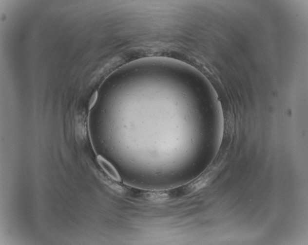 X0000074930719200609011050