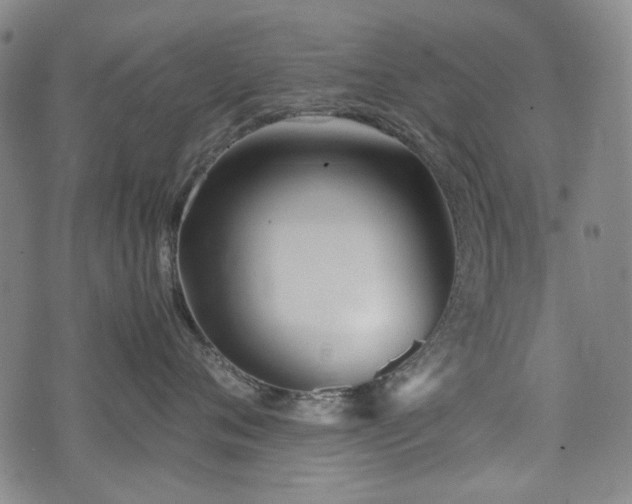 X0000074930720200609011050