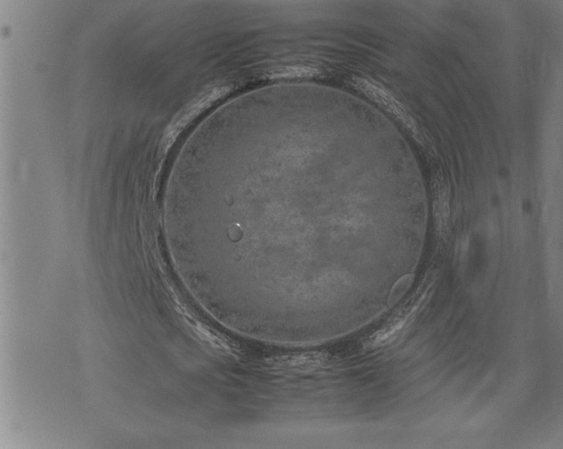 X0000074930721200609011050