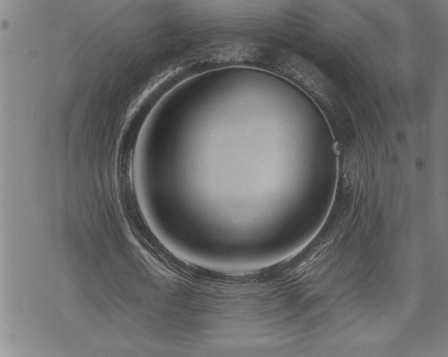 X0000074930722200609011050