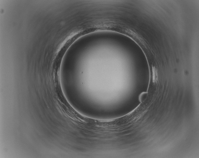 X0000074930723200609011050