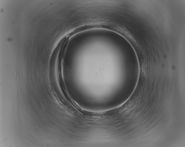 X0000074930724200609011050