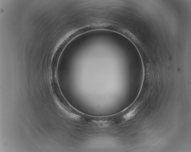 X0000074930726200609011050